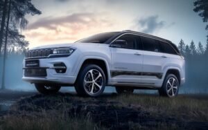 Jeep Meridian 9